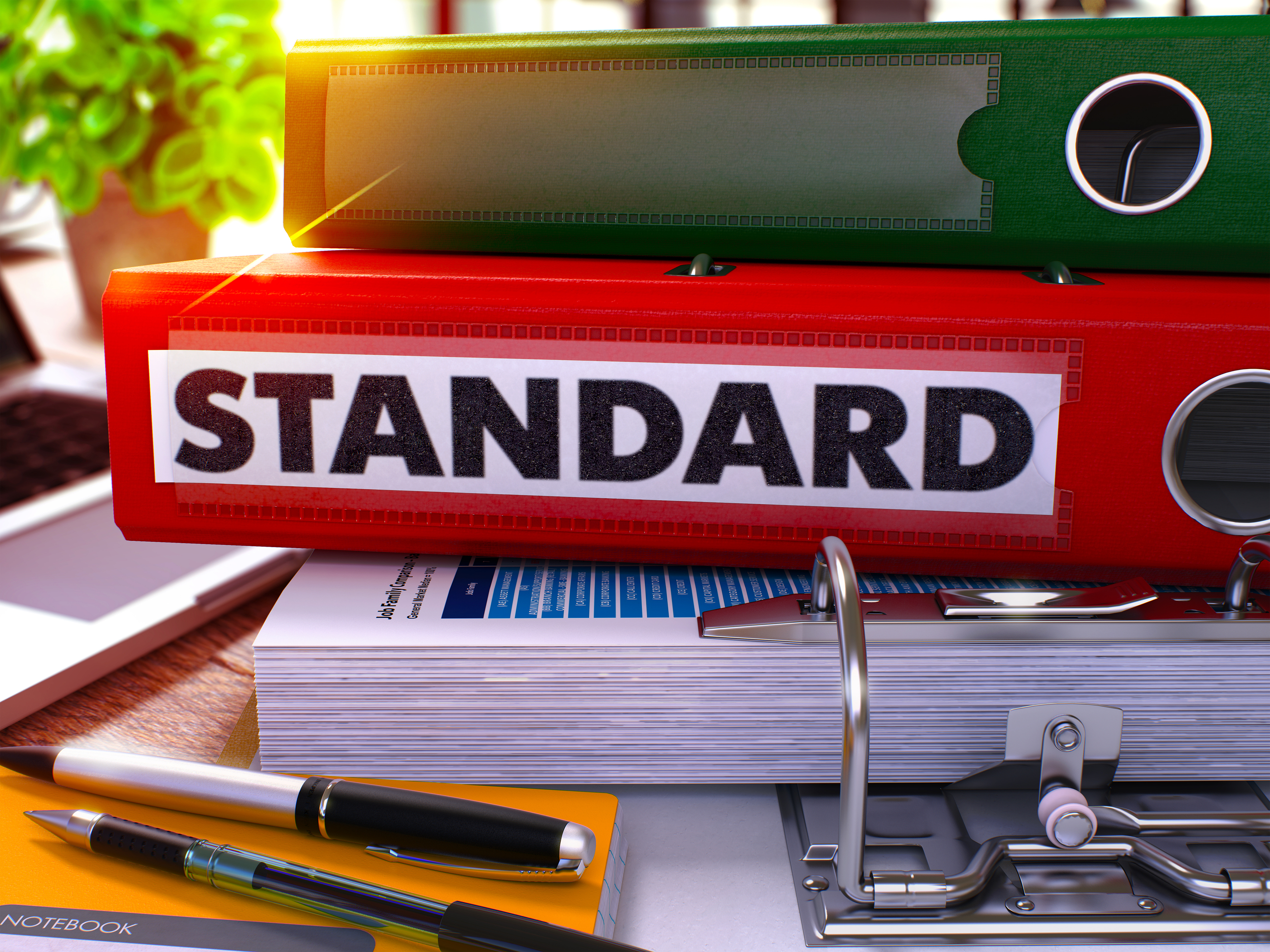 standards_binder--125269442 standards_binder--125269442.jpg