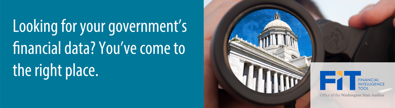 Looking for your government's financial data? You've come to the right place.